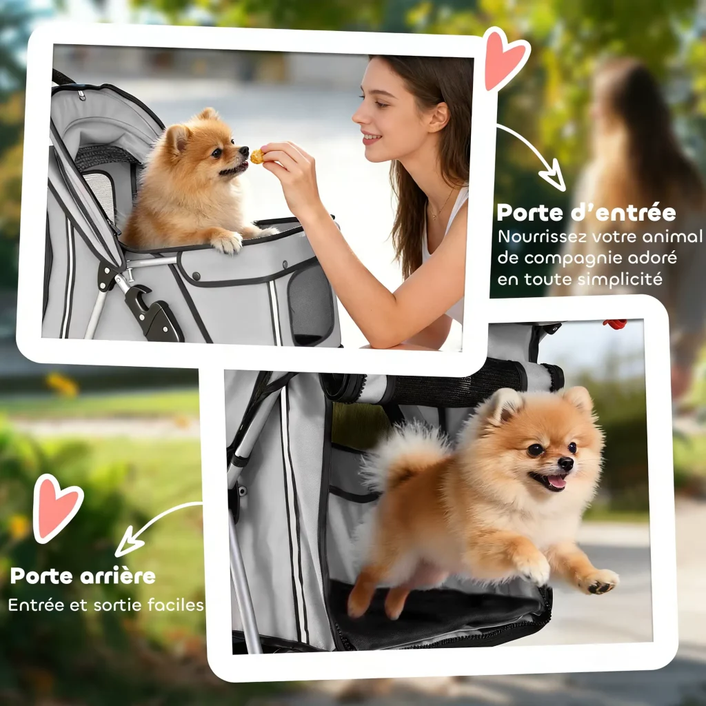 Chien installé dans la poussette