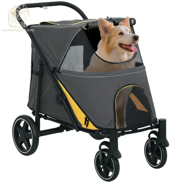 Grand chien dans une poussette spacieuse